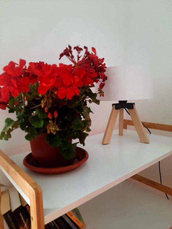 Acacia Apartmani Sutomore Extérieur photo